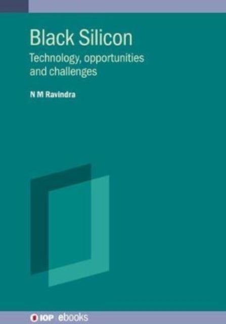 Black Silicon - Technology, opportunities and challenges