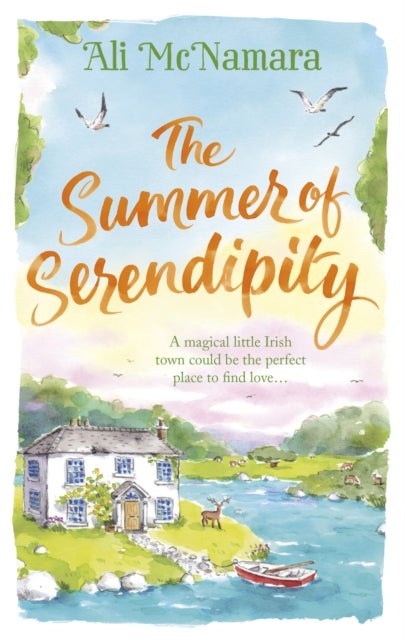 The Summer of Serendipity - The magical feel good perfect holiday read