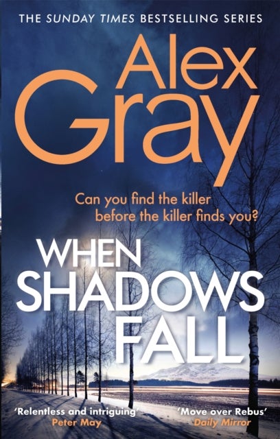 When Shadows Fall - Book 17 in the Sunday Times bestselling crime series