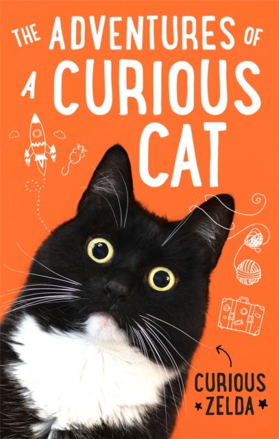 The Adventures of a Curious Cat - wit and wisdom from Curious Zelda, purrfect for cats and their humans