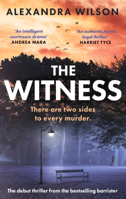 The Witness - The most authentic, twisty legal thriller, from the barrister author of In Black and White