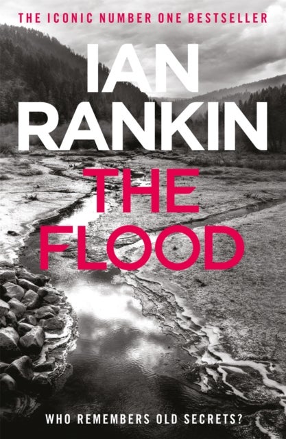 The Flood - From the iconic #1 bestselling author of A SONG FOR THE DARK TIMES