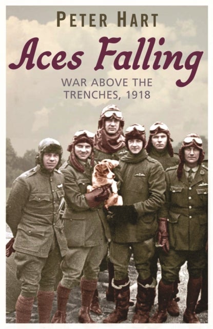 Aces Falling - War Above The Trenches, 1918