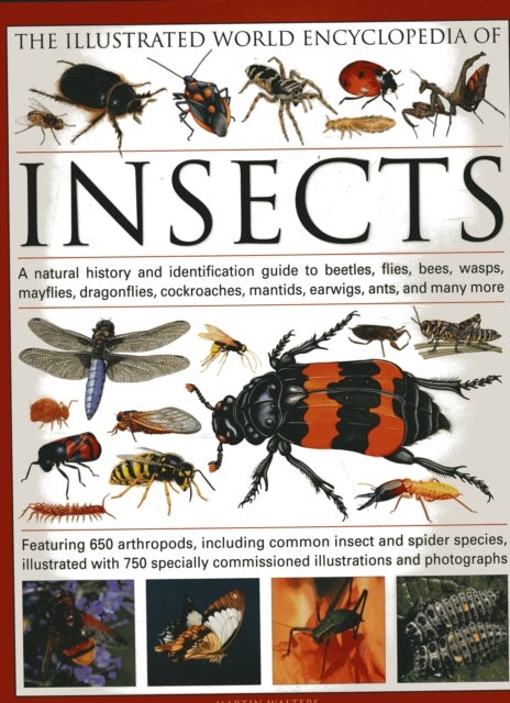 The Illustrated World Encyclopaedia of Insects - A Natural History and Identification Guide to Beetles, Flies, Bees Wasps, Springtails, Mayflies, Stoneflies, Dragonflies, Damselflies, Cockroaches, Mantids, Earwigs ... and Many More