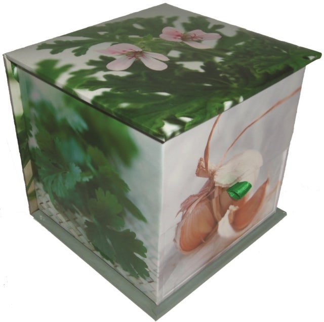 Memo Block: Herbs