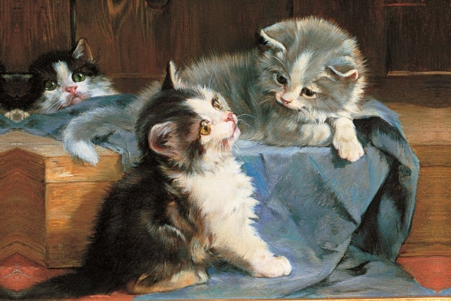 Memo Block: Kittens - High-quality block of notepapers in a presentation cube box with built-in drawer