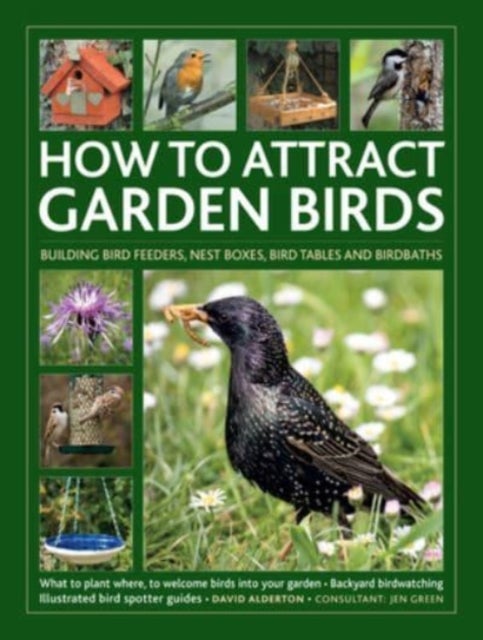 How to Attract Garden Birds - What to plant; Bird feeders, bird tables, birdbaths; Building nest boxes: Backyard birdwatching, with illustrated directories of common garden birds