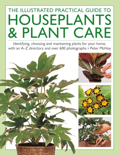 The Illustrated Practical Guide to Houseplants & Plant Care - Identifying, choosing and maintaining plants for your home, with an A–Z directory and over 600 photographs