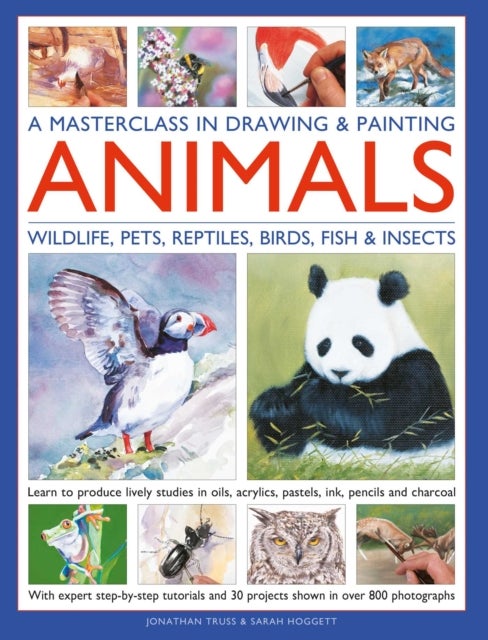 A Masterclass in Drawing & Painting Animals (Wildlife, Pets, Reptiles, Birds, Fish & Insects) - Learn to produce lively studies in oils, acrylics, pastels, ink, pencils and charcoal; With expert step-by-step tutorials and 30 projects shown in more than 800 photographs