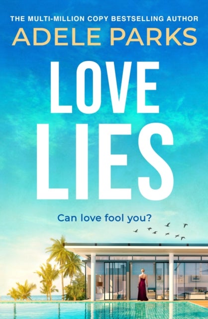 Love Lies - A modern-day Cinderella story from the No.1 Sunday Times bestseller