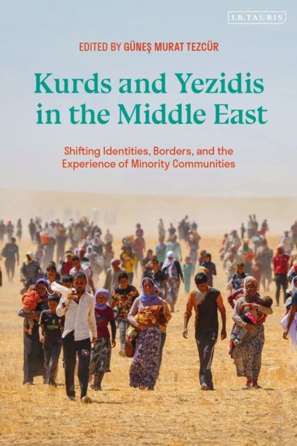 Kurds and Yezidis in the Middle East - Shifting Identities, Borders, and the Experience of Minority Communities