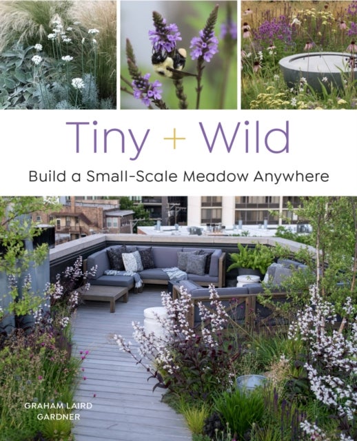 Tiny and Wild - Build a Small-Scale Meadow Anywhere