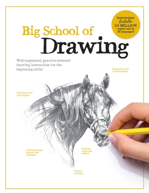 Big School of Drawing - Well-explained, practice-oriented drawing instruction for the beginning artist