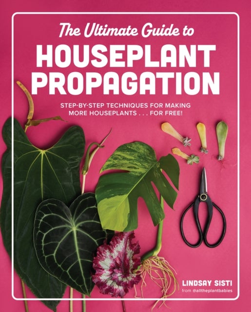 The Ultimate Guide to Houseplant Propagation - Step-by-Step Techniques for Making More Houseplants . . . for Free!