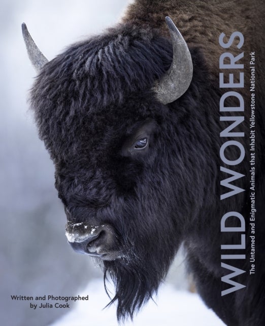 Wild Wonders - The Untamed and Enigmatic Animals that Inhabit Yellowstone National Park