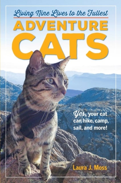 Adventure Cats - Living Nine Lives to the Fullest