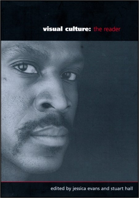 Visual Culture - The Reader
