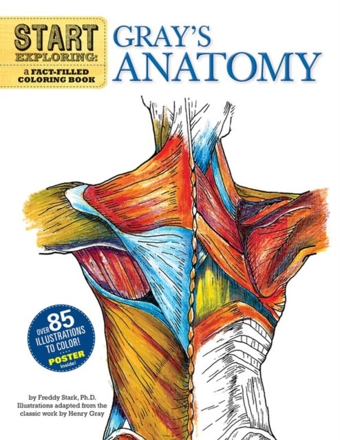 Start Exploring: Gray's Anatomy - A Fact-Filled Coloring Book