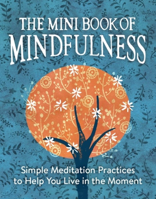 The Mini Book of Mindfulness - Simple Meditation Practices to Help You Live in the Moment