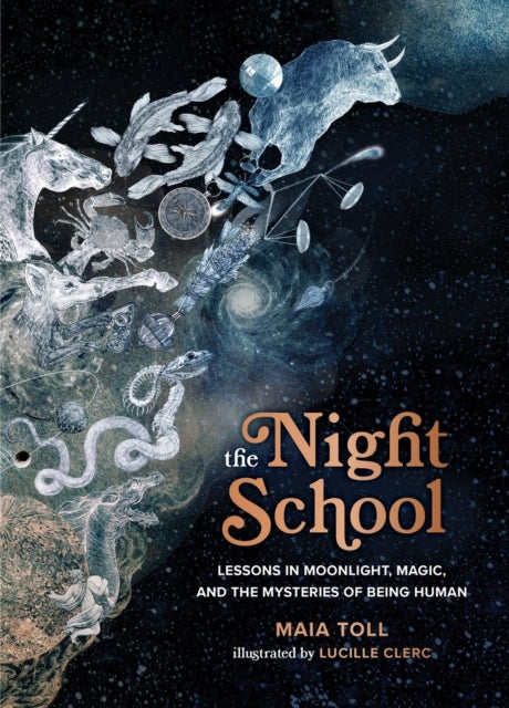 The Night School - Lessons in Moonlight, Magic, and the Mysteries of Being Human