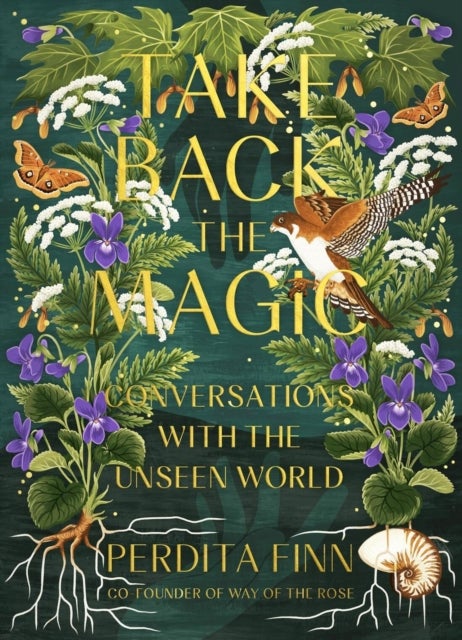 Take Back the Magic - Conversations with the Unseen World