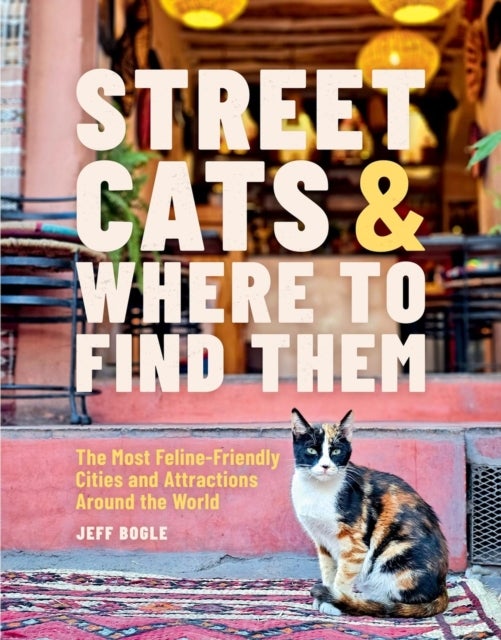 Street Cats & Where to Find Them - The Most Feline-Friendly Cities and Attractions Around the World