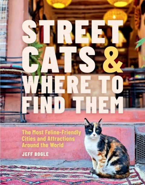 Street Cats & Where to Find Them - The Most Feline-Friendly Cities and Attractions Around the World