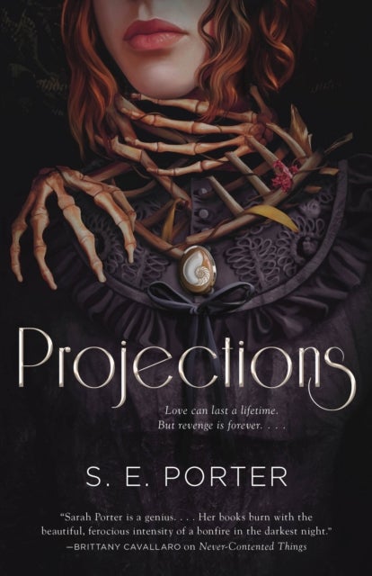 Projections - A Novel