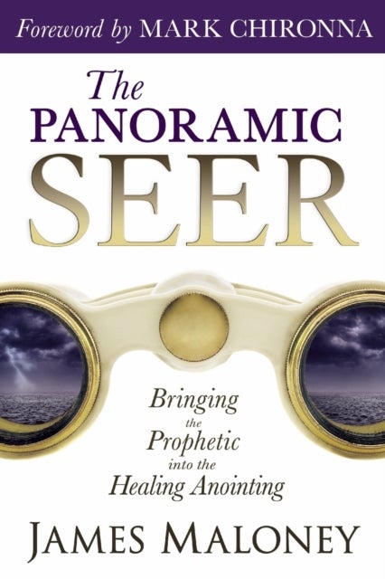 The Panoramic Seer - Bringing the Prophetic into the Healing Anointing
