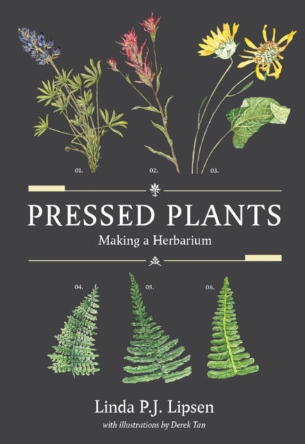 Pressed Plants - Making a Herbarium