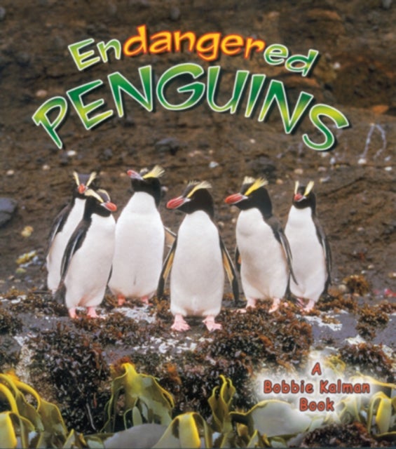 Endangered Penguins