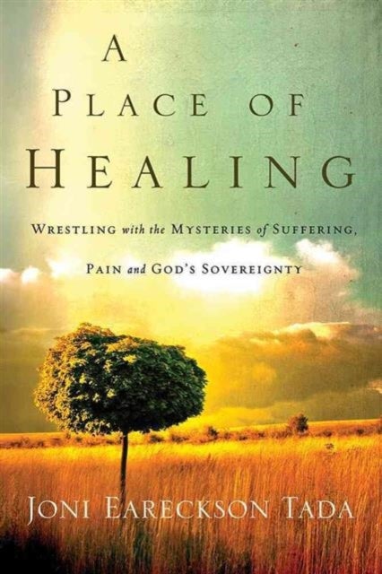 A Place of Healing - Wrestling with the Mysteries of Suffering, Pain, and God's Sovereignty