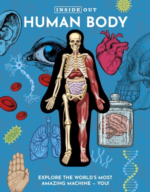 Inside Out Human Body - Explore the World's Most Amazing Machine - You!