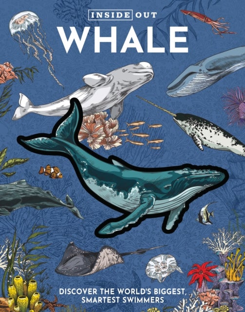 Inside Out Whale - Discover the World's Biggest, Smartest Swimmers