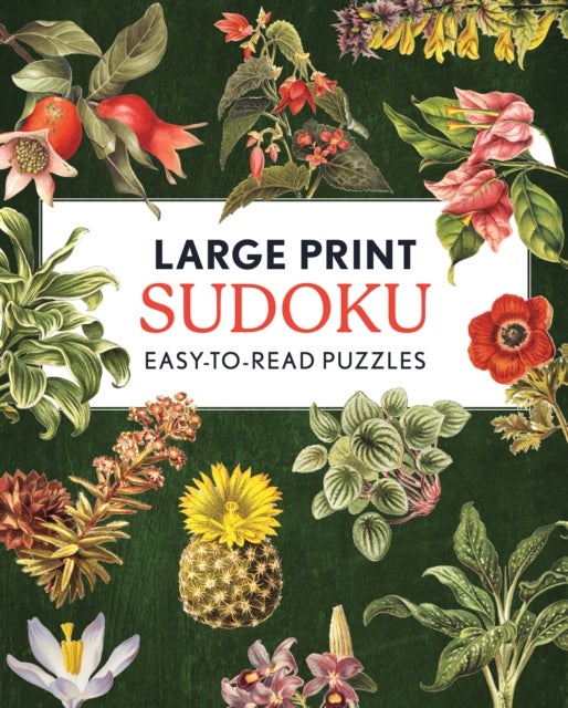 Large Print Sudoku - Easy-to-Read Puzzles