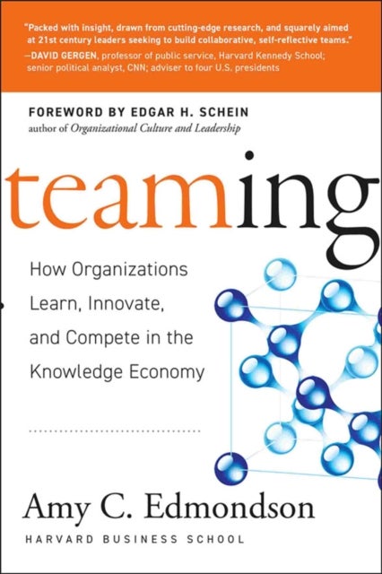 Teaming - How Organizations Learn, Innovate, and Compete in the Knowledge Economy