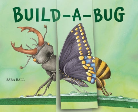Build-a-Bug - Make Your Own Wacky Insect!