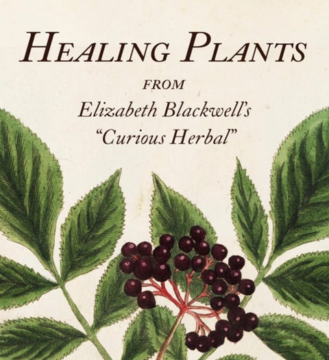 Healing Plants - From Elizabeth Blackwell's "Curious Herbal"
