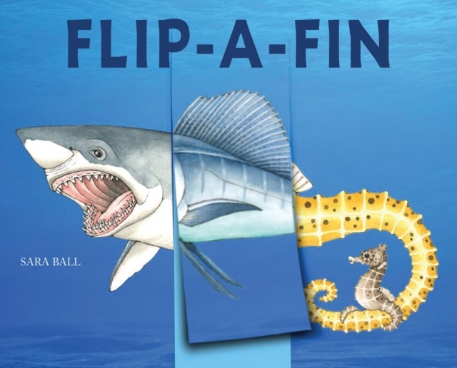 Flip-a-Fin - Make Your Own Wacky Sea Creature!