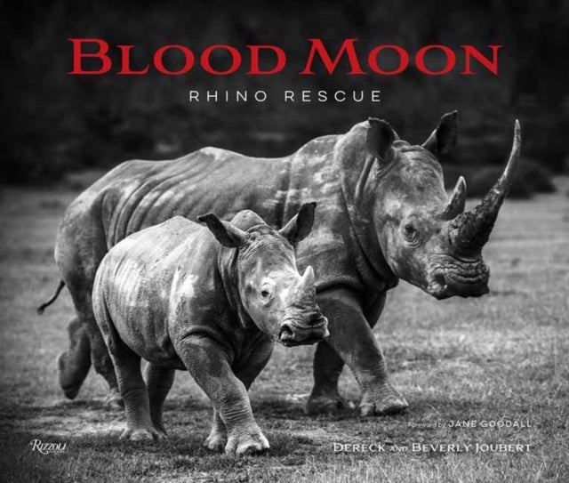 Blood Moon - Rescuing the Rhino