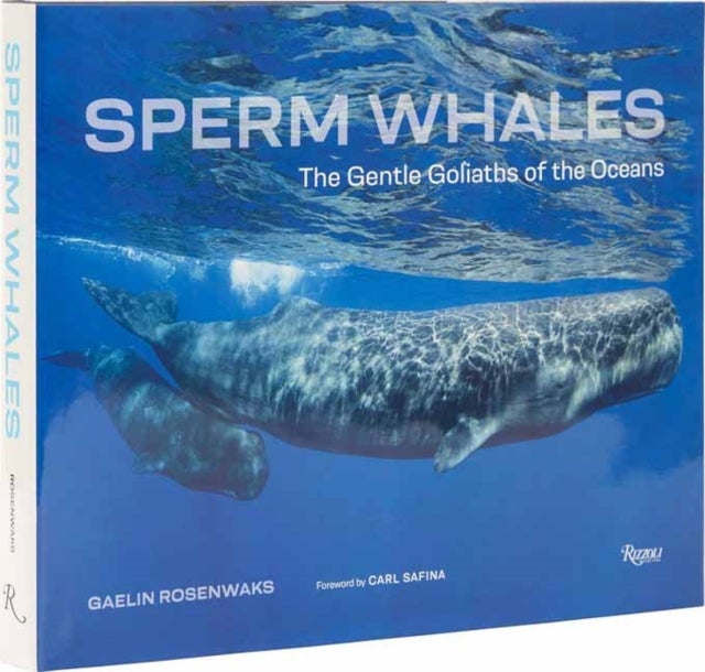 Sperm Whales - The Gentle Goliaths of the Ocean