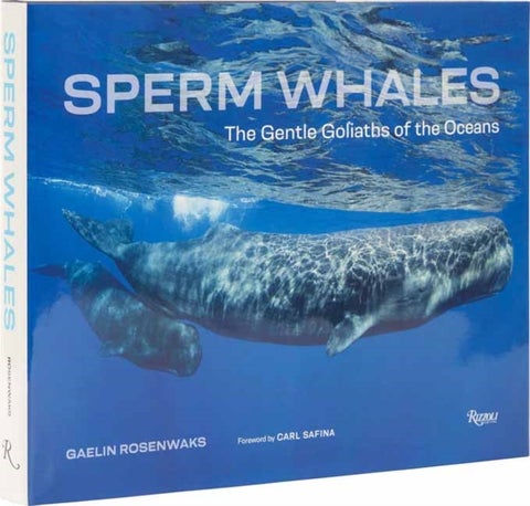Sperm Whales - The Gentle Goliaths of the Ocean