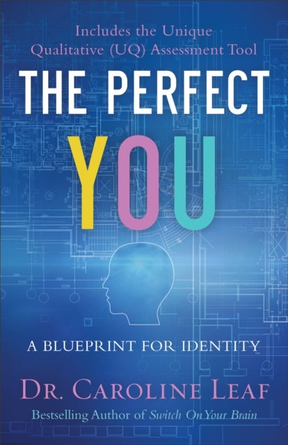 The Perfect You ¿ A Blueprint for Identity
