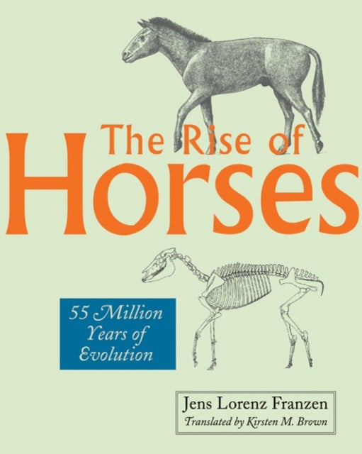 The Rise of Horses - 55 Million Years of Evolution