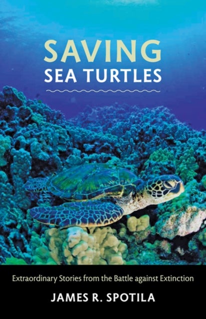 Saving Sea Turtles - Extraordinary Stories from the Battle against Extinction