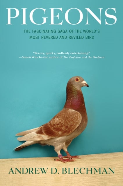 Pigeons - The Fascinating Saga of the World's Most Revered and Reviled Bird