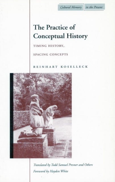 The Practice of Conceptual History - Timing History, Spacing Concepts