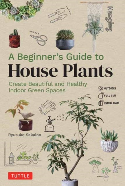 A Beginner's Guide to House Plants - Creating Beautiful and Healthy Green Spaces in Your Home