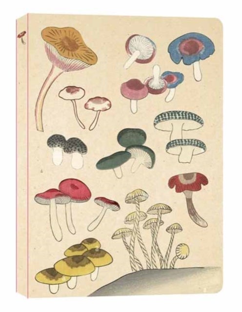 Healing Mushrooms Lined Paperback Journal - Blank Notebook with Pocket