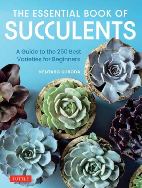 The Essential Book of Succulents - A Guide to the 250 Best Varieties for Beginners